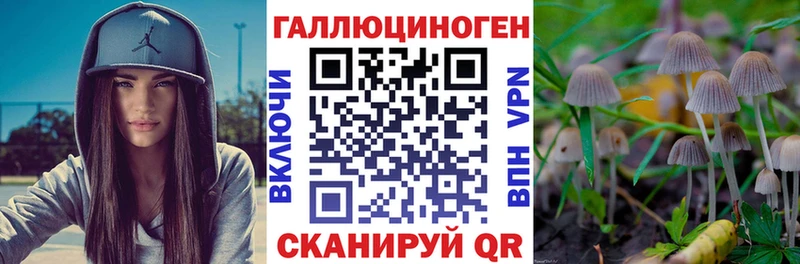 где продают   Сертолово  Псилоцибиновые грибы MAGIC MUSHROOMS 